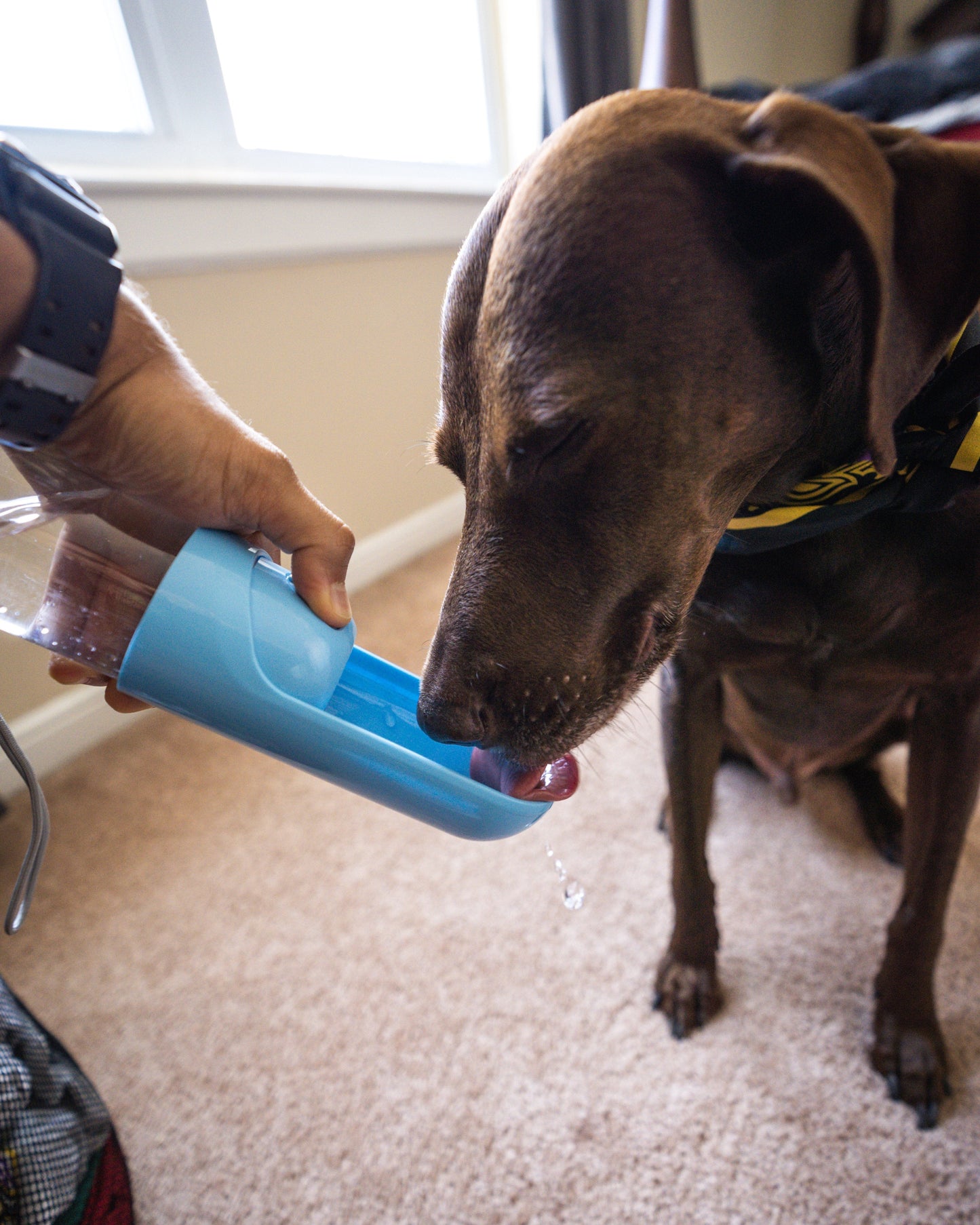 Filtered Water Bottle