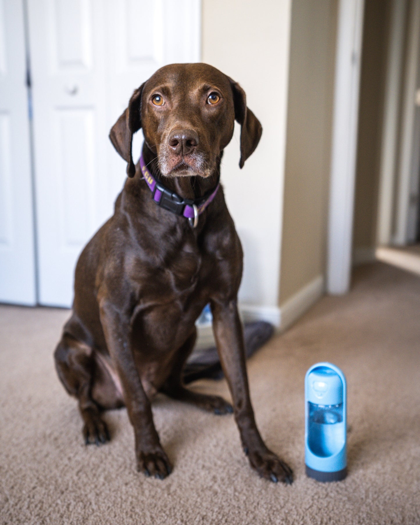 Filtered Water Bottle